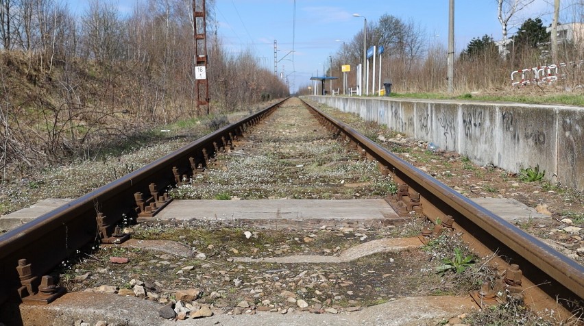 Tak obecnie prezentuje się przystanek kolejowy Suszec...
