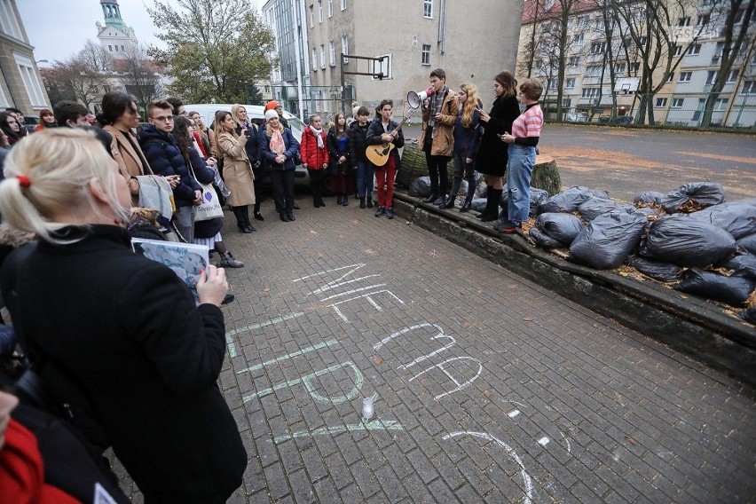 Ścięto dwie lipy, które rosły przy LO nr 9 w Szczecinie 