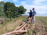 Izdebno. Jest ciąg dalszy działań zmierzających do stworzenia w okolicy Izdebna Stacjonarnego Obserwatorium Astronomicznego Ciemnego Nieba