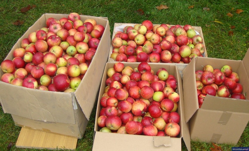 Policjanci z Olecka przekazali jabłka