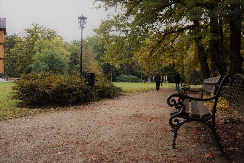 Jesień w parku otaczającym pałacyk książąt Radziwiłłów w...