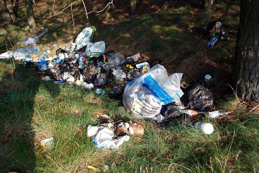 Podrzucone śmieci w gołaszewskim lesie.