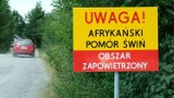 ASF w powiecie hrubieszowskim. Urzędnicy zapewniają, że zabezpieczają teren