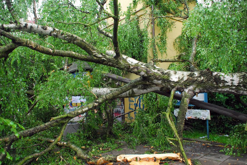 Burza w Krakowie: zerwane trakcje, połamane drzewa [NOWE ZDJĘCIA]