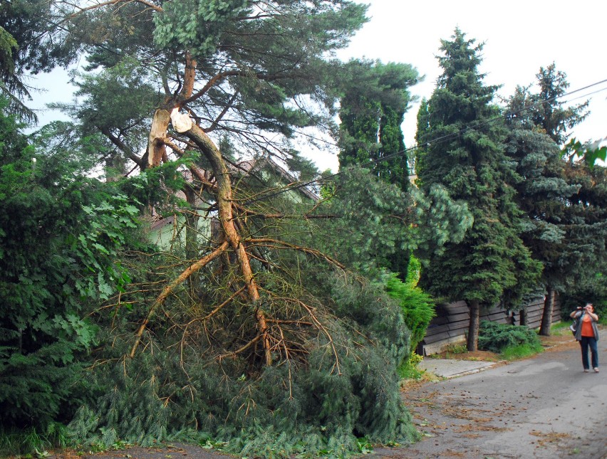 Burza w Krakowie: zerwane trakcje, połamane drzewa [NOWE ZDJĘCIA]
