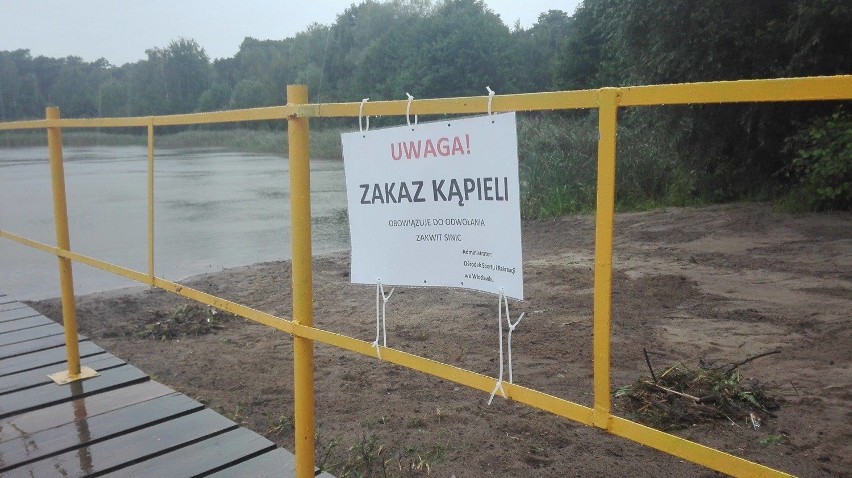 Znów sinice we Włocławku. Wprowadzono tymczasowy zakaz kąpieli w jeziorze Czarnym