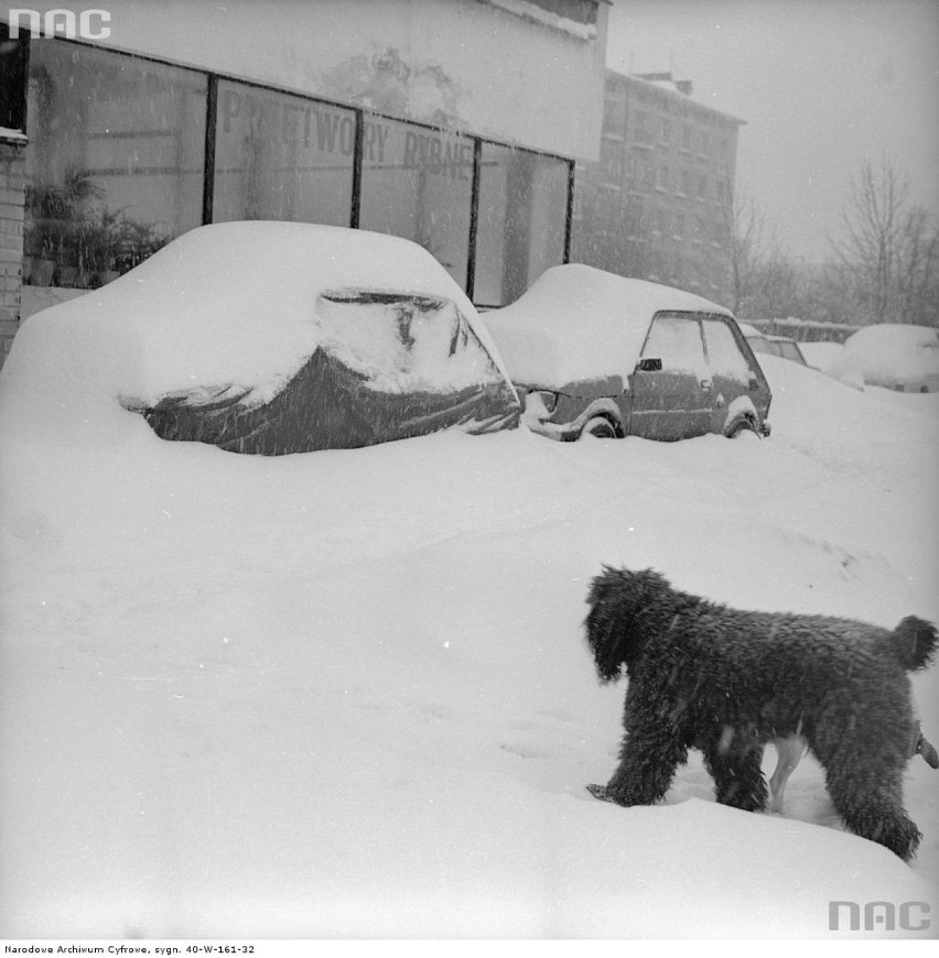 Zasypane śniegiem samochody Fiat 126p przy pawilonach...