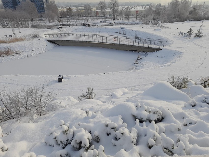 Ogród Botaniczny w Kielcach zachwyca zimą. Zobacz zdjęcia   