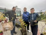 Akcja "Drzewko za makulaturę" odbyła się w Bełchatowie. Jakie rośliny można było otrzymać? FOTO, VIDEO