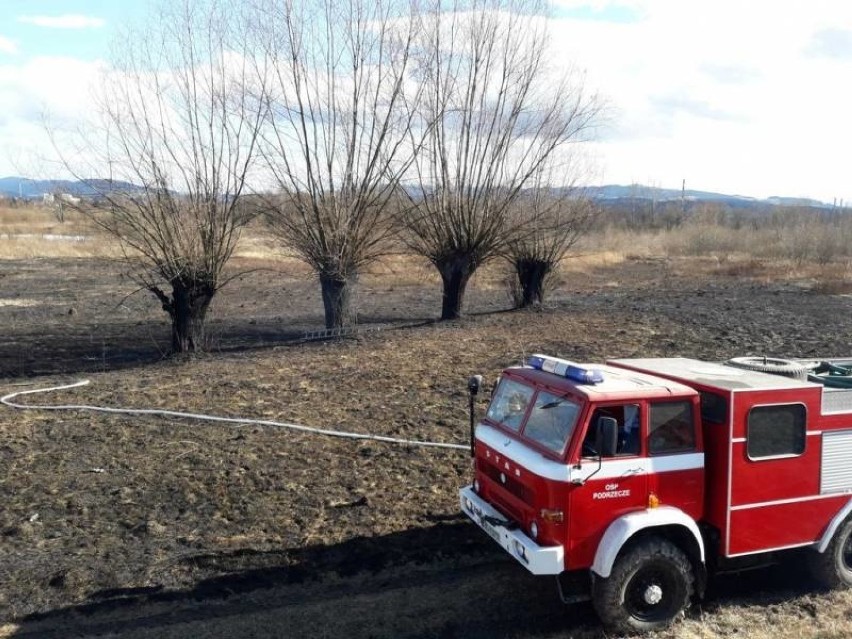 Sądecczyzna. Pożar za pożarem. Podpalacze suchych traw dali o sobie znać [ZDJĘCIA]