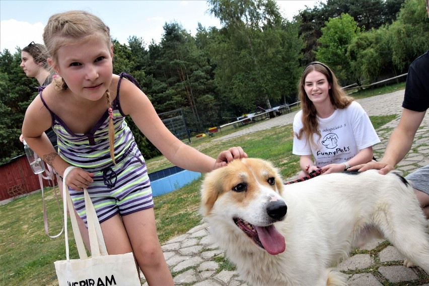 Ponad tona karmy dla schroniska w podsieradzkich Czartkach w finale ogólnopolskiej akcji MyPetStory. Był też spacer dla czartkowiaków FOTO 