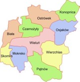 Wyniki wyborów w powiecie wieluńskim. PiS z ponad 55 proc. poparcia[WYNIKI W GMINACH]