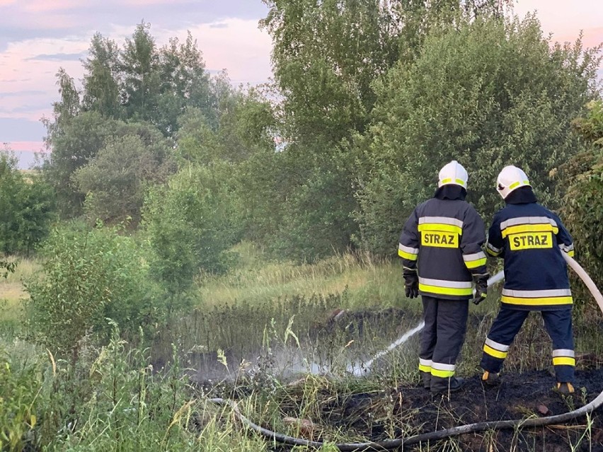 Podpalenie nieużytków w miejscowości Jasna Góra?[FOTO]