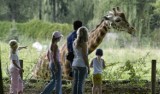 Bilety do opolskiego zoo za złotówkę dla seniorów?