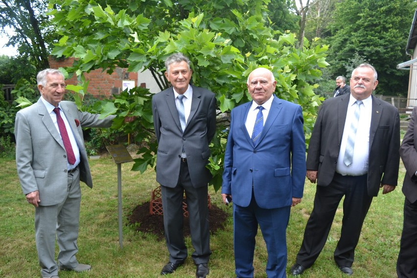 Jubileuszowe drzewko posadzili wspólnie z prezesem Polskiego Związku Działkowców [ZDJĘCIA]