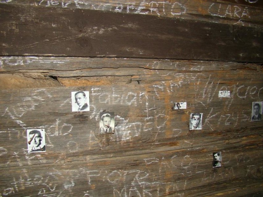 Mały szkodnik zjada wyjątkową wystawę byłego więźnia KL Auschwitz