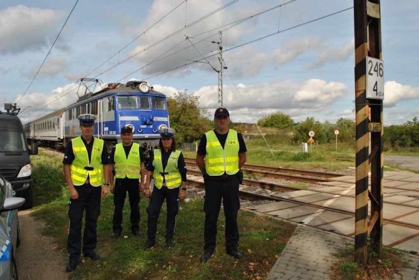 Policjanci wydziału ruchu drogowego Komendy Miejskiej...