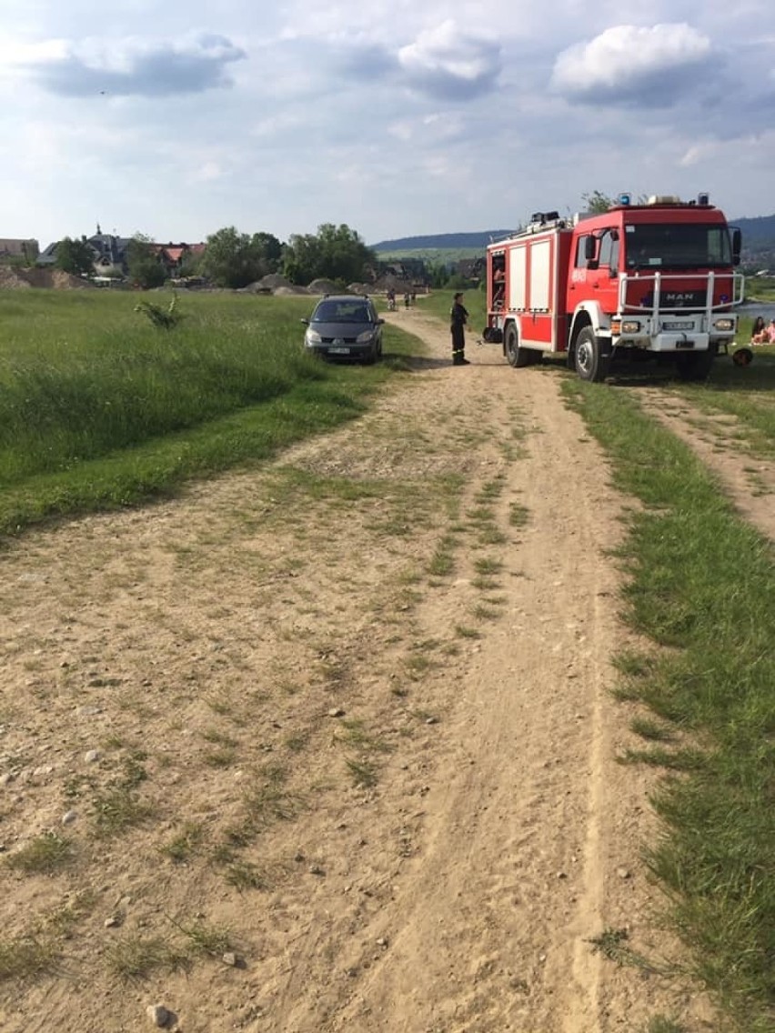 Ostatni przykład bestialstwa wobec zwierząt mieliśmy w...