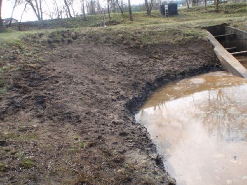 Staw ucierpiał dwukrotnie. Najpierw pracownicy pobliskiego...