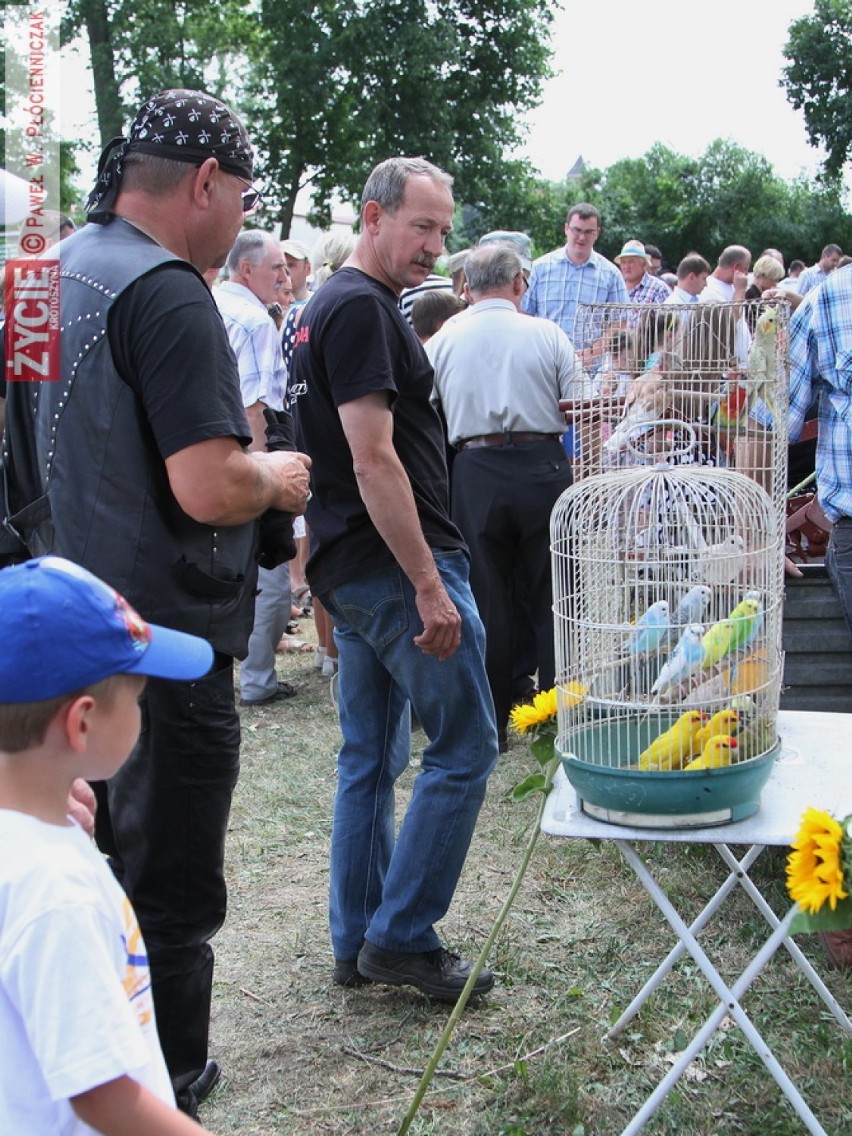 IX Wystawa Zwierząt Hodowlanych w Benicach