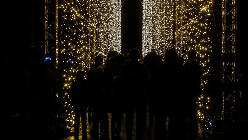 Iluminacje świąteczne rozbłysły w Parku Oliwskim [ZDJĘCIA, WIDEO]