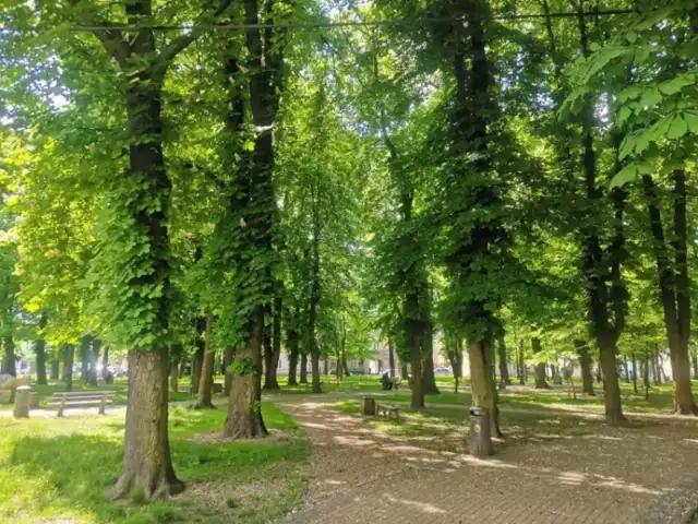 Tak teraz wygląda Park Miejski w Grójcu.