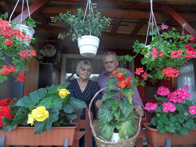Ta działka to nasza duma - pokazują nam swój ogródek działkowy Hildegarda i Jan Talarkowie.