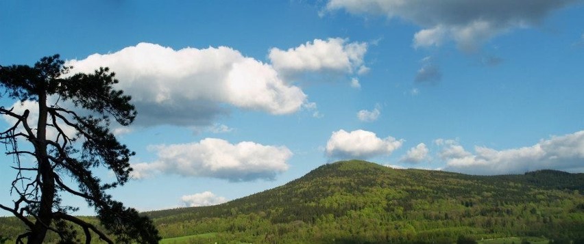 Widok na Łysiec (G. Bialskie) z Sowiej Kopy (G.Złote) z...