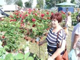 Święto Kwiatów w Karsznicach