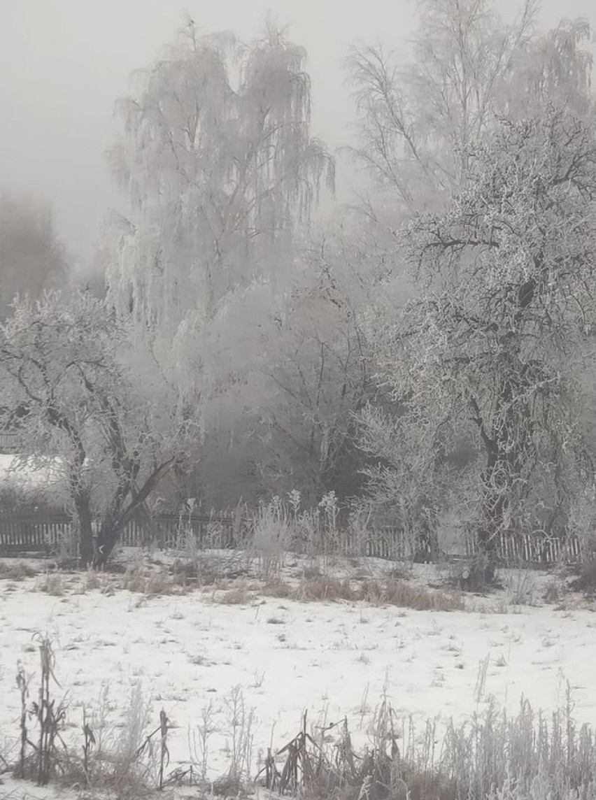 Oto Wasze zdjęcia, widoki z okien i nie tylko. Przepiękna...