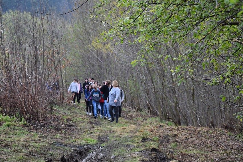 Wałbrzych: W lesie w pobliżu ul. Osiedleńców posadzili 1200 drzewek