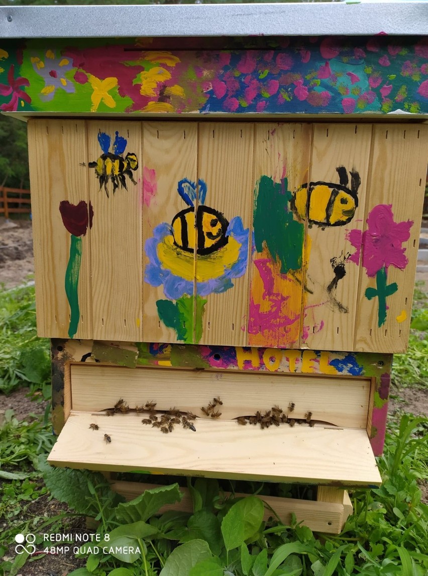 Spełniony sen o pszczołach. W edukacyjnej pasiece Fundacji Pszczoła zamieszkały krainki