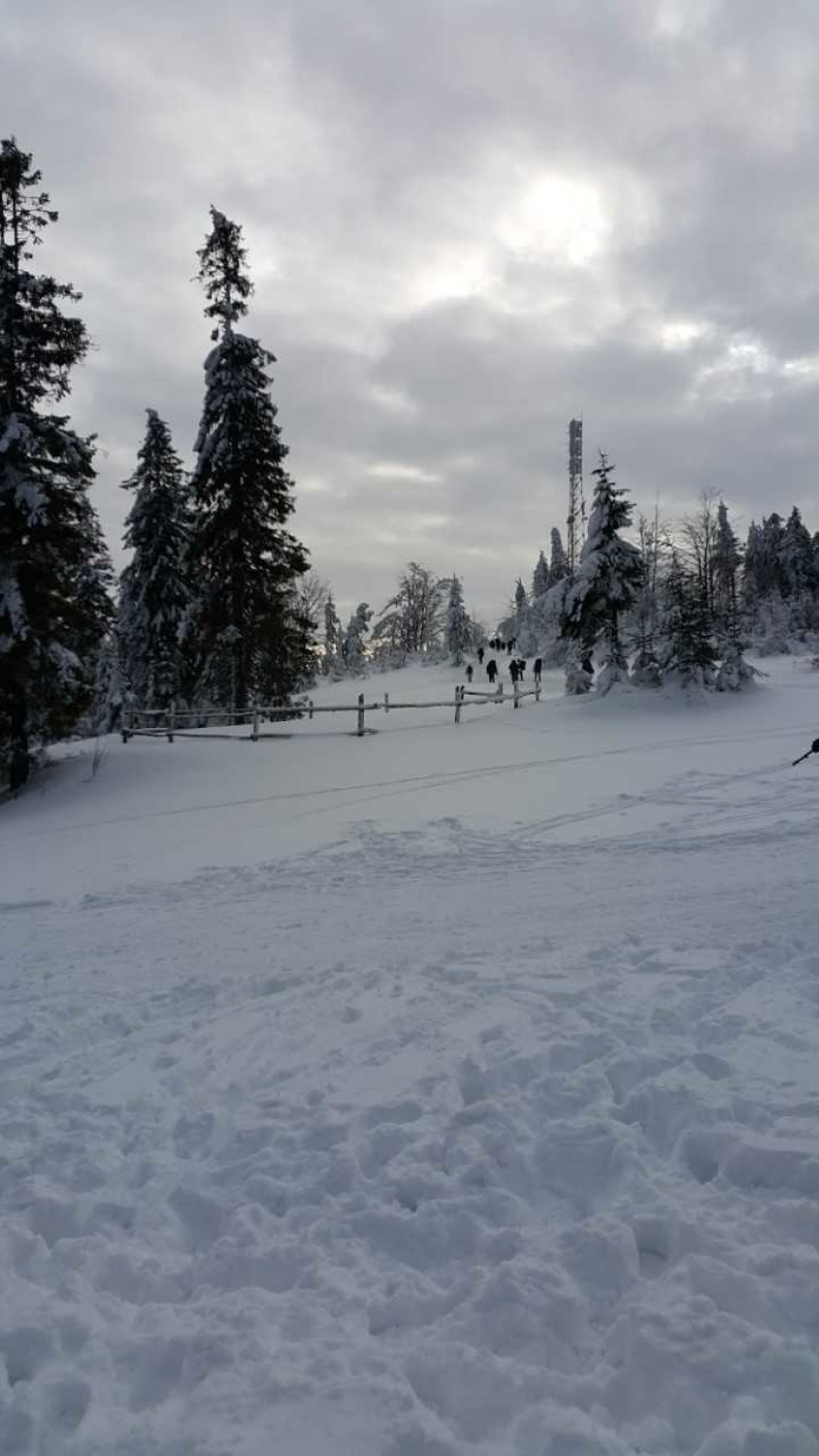 Terytorialsi na nartach skiturowych i rakietach śnieżnych. Szkolenie w Beskidach
