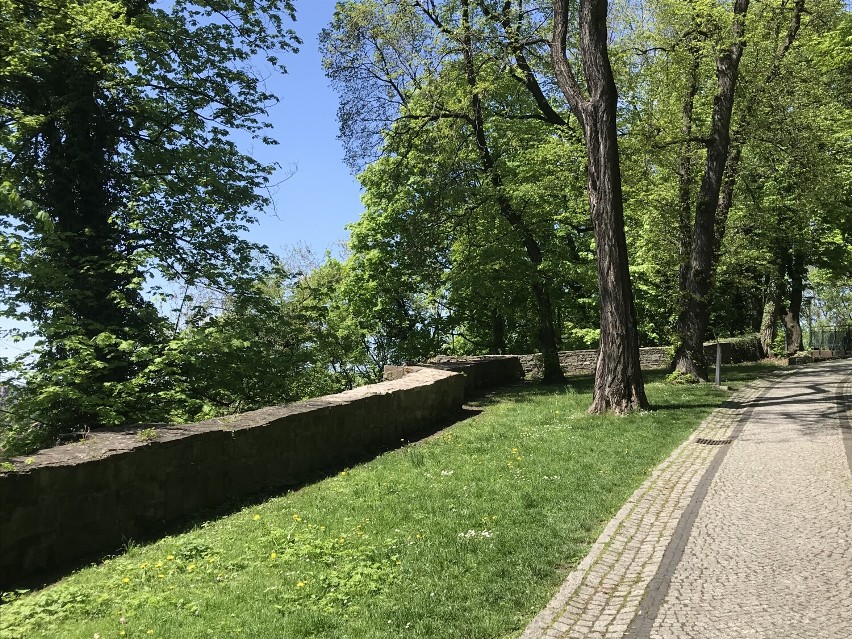Park na wzgórzu zamkowym w Cieszynie