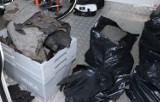 Bytom: wyrzucał odpady na nieużytkach, a teraz stanie przed sądem 
