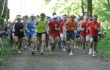 Mistrzostwa Polski Weteranów w Półmaratonie w Murowanej Goślinie