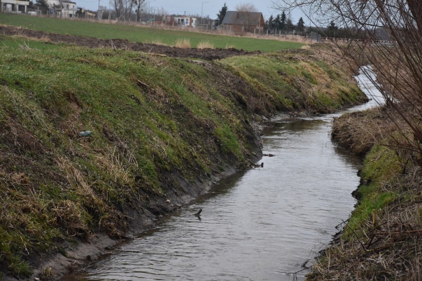 W Parku Miejskim Planty w Pleszewie wyłowiono zwłoki mężczyzny. Ciało w rzece Ner zauważył jeden ze spacerowiczów. ZDJĘCIA