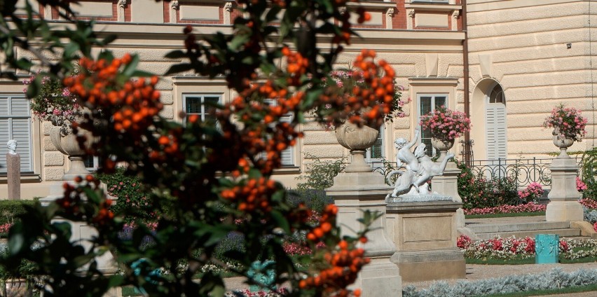 Muzeum - Zamek w Łańcucie przyłączyło się do ogólnopolskiej akcji „Weekend seniora z kulturą"