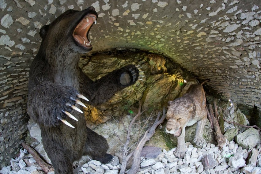 Jaskinia Niedźwiedzia - ją także WKW zwiedzi w maju