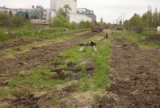 Tory na terenie gminy Golub-Dobrzyń zostały zdemontowane ale tereny nadal należą do PKP