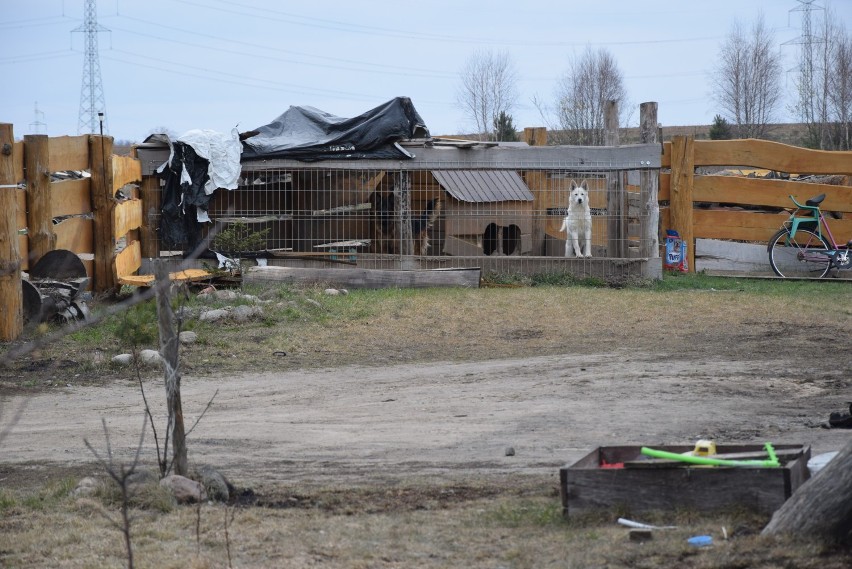 Gm. Bakałarzewo: Ogień strawił dom, samochody i nowe rowerki Kostka i Tymona