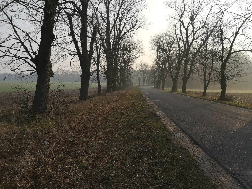 Już wkrótce w tym miejscu powstanie ścieżka rowerowa łącząca...