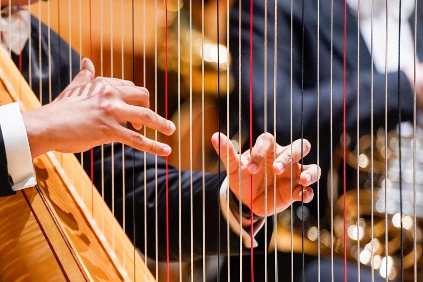 "Muzyka czyni cuda". Charytatywny koncert w Filharmonii Bałtyckiej