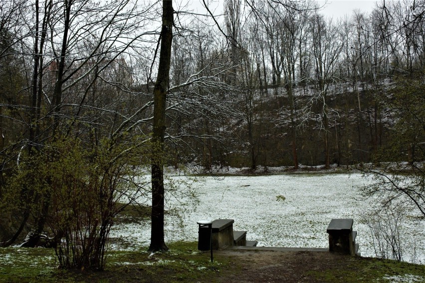 Park Bednarskiego czeka na rewitalizację