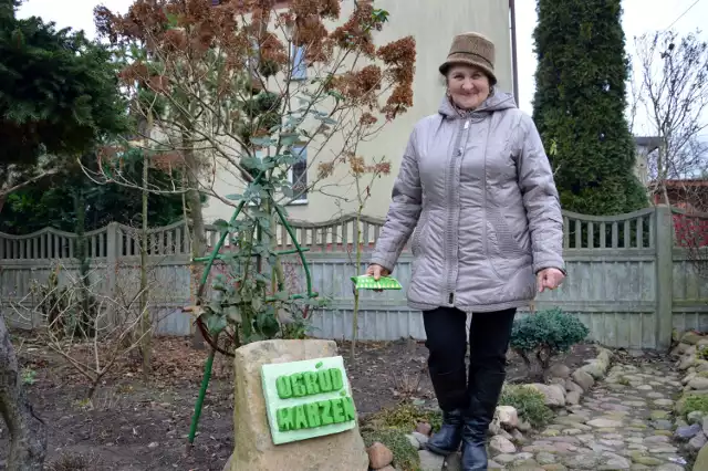 Ogród marzeń Lucyny i Wacława Miksów zielony cały rok