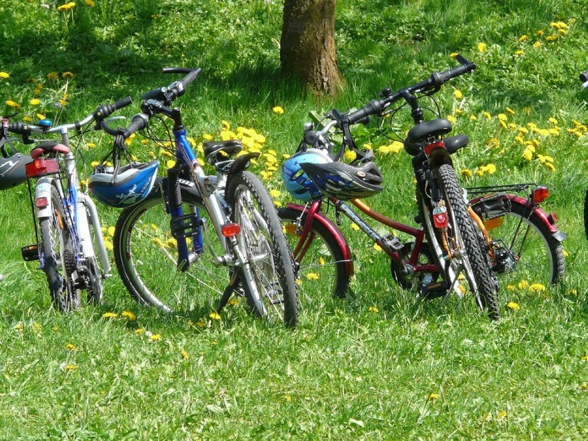 Kampinoski Szlak Rowerowy to droga dla rowerów biegnąca...