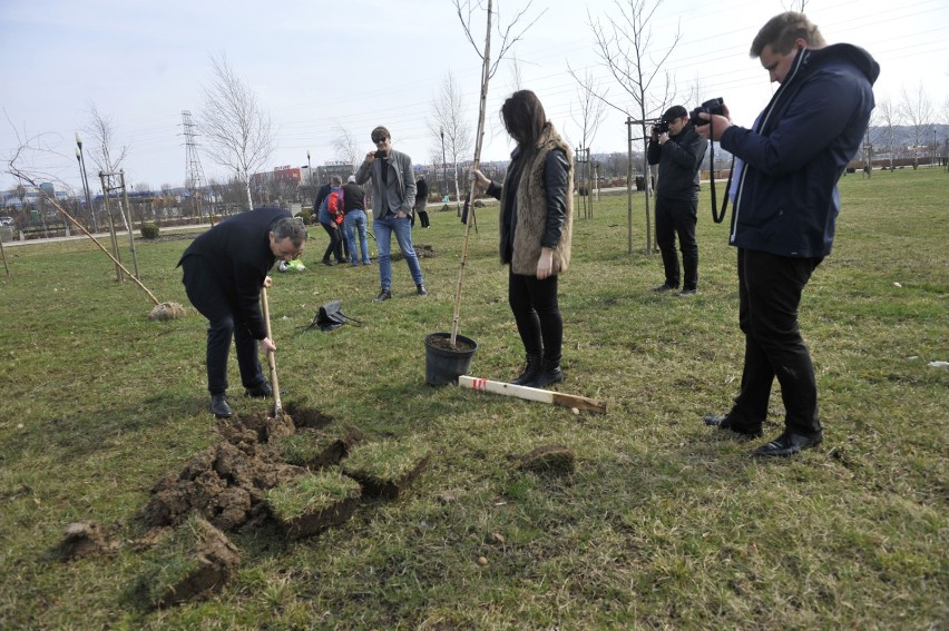 Działacze PO sadzili drzewa w Parku Papieskim w Rzeszowie