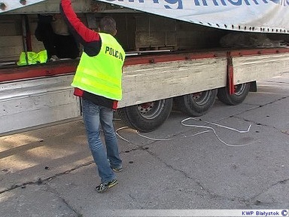 Próbę przemytu przeszło 345 tysięcy paczek papierosów bez polskich znaków akcyzy udaremnili funkcjonariusze Centralnego Biura Śledczego i białostockiego Urzędu Kontroli Skarbowej. Do zatrzymania doszło wczoraj przed południem na jednym z parkingów na osiedlu Zielone Wzgórza w Białegostoku.