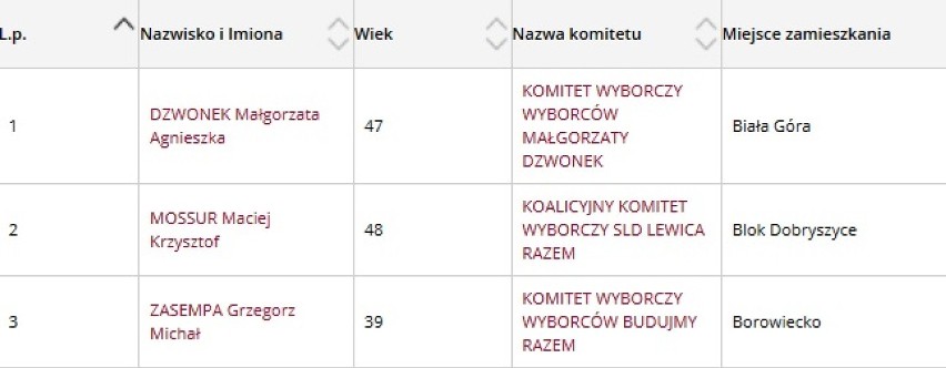 Gmina Dobryszyce - kandydaci na wójta
