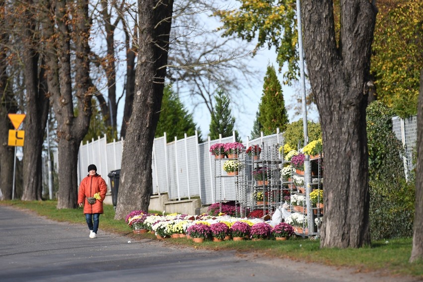 Cmentarz w Żarach pusty, chryzantemy można kupić tutaj jeszcze do 10 listopada. Miasto udekorowano chryzantemami odkupionymi od sprzedawców